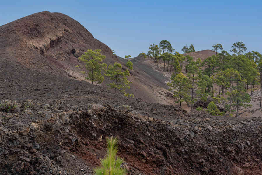 Tenerife 40 - parque nacional del Teide.jpg